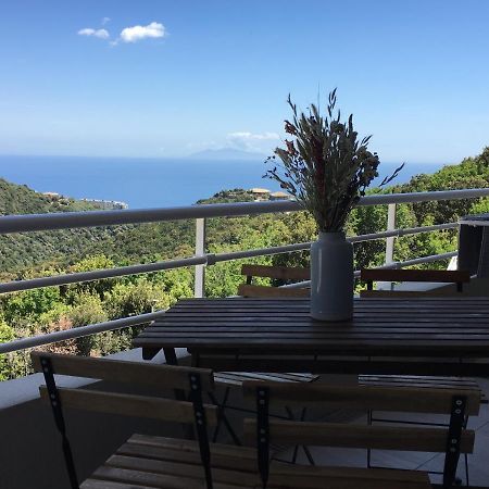 Charmant T2 Hauteurs De Bastia Bastia  Bagian luar foto