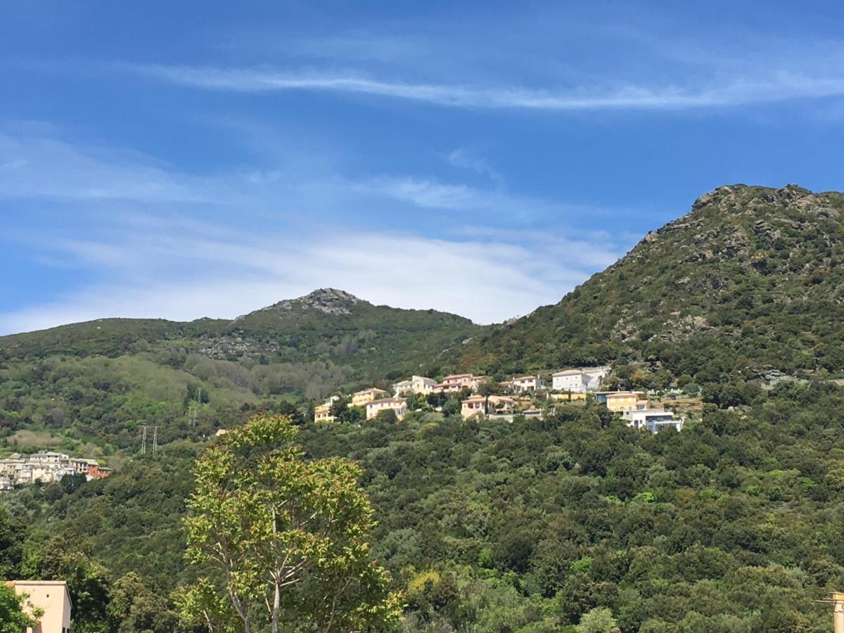 Charmant T2 Hauteurs De Bastia Bastia  Bagian luar foto